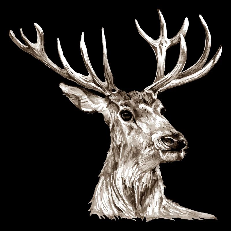 Hirsch