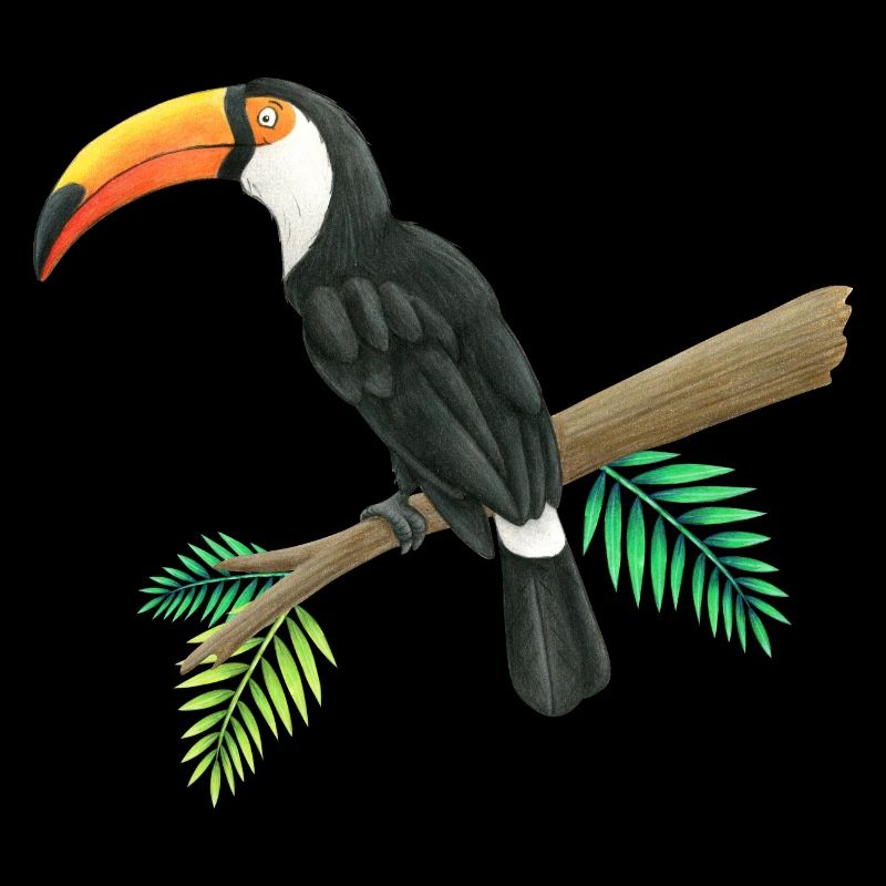Toucan