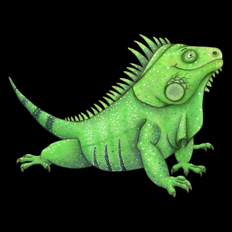 funny iguana