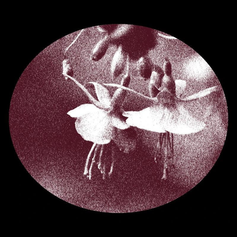 blume retro