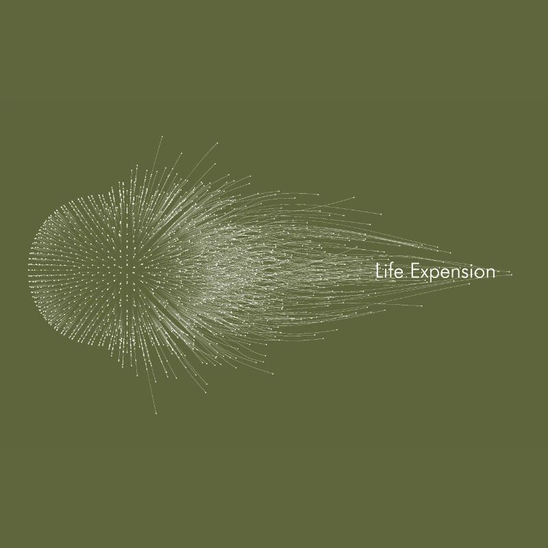 Abstract - life expensation