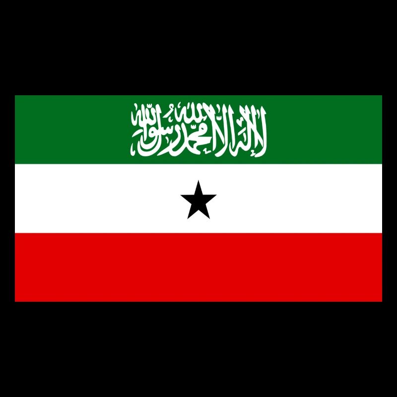 Somali land t shirt flags