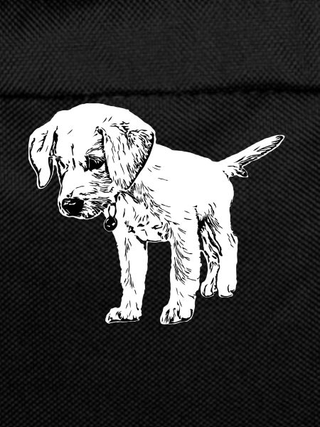 Labrador puppy drawing