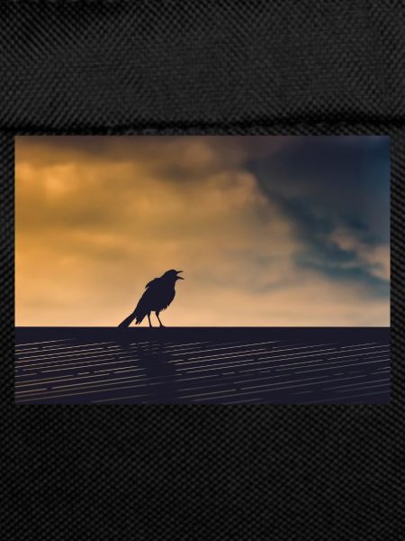 Singing Crow