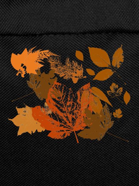 Autumn leaf