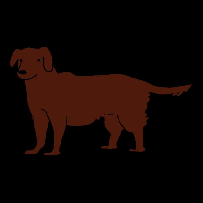 Labrador