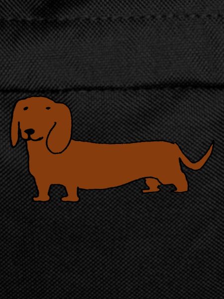 Dachshund