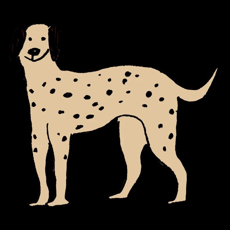 Dalmatian