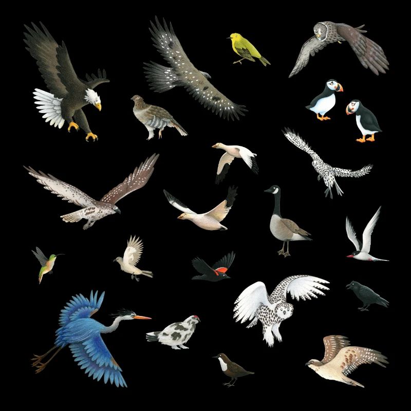 Birds of Canada