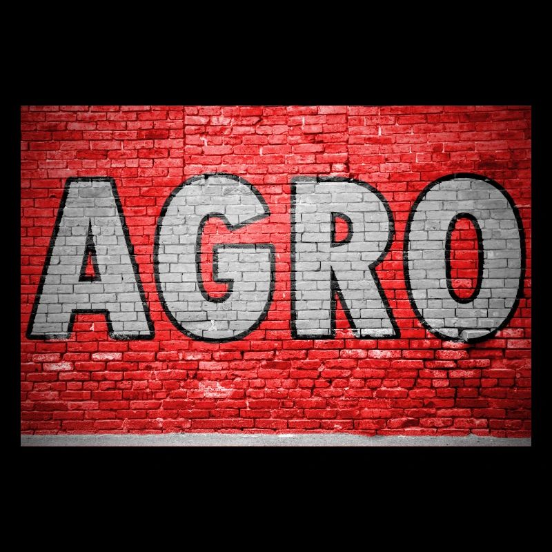 Agro Brick Wall Graffiti