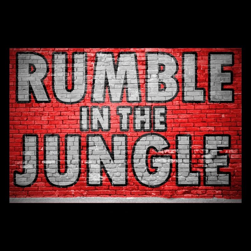 Rumble in the Jungle Brick Wall Graffiti