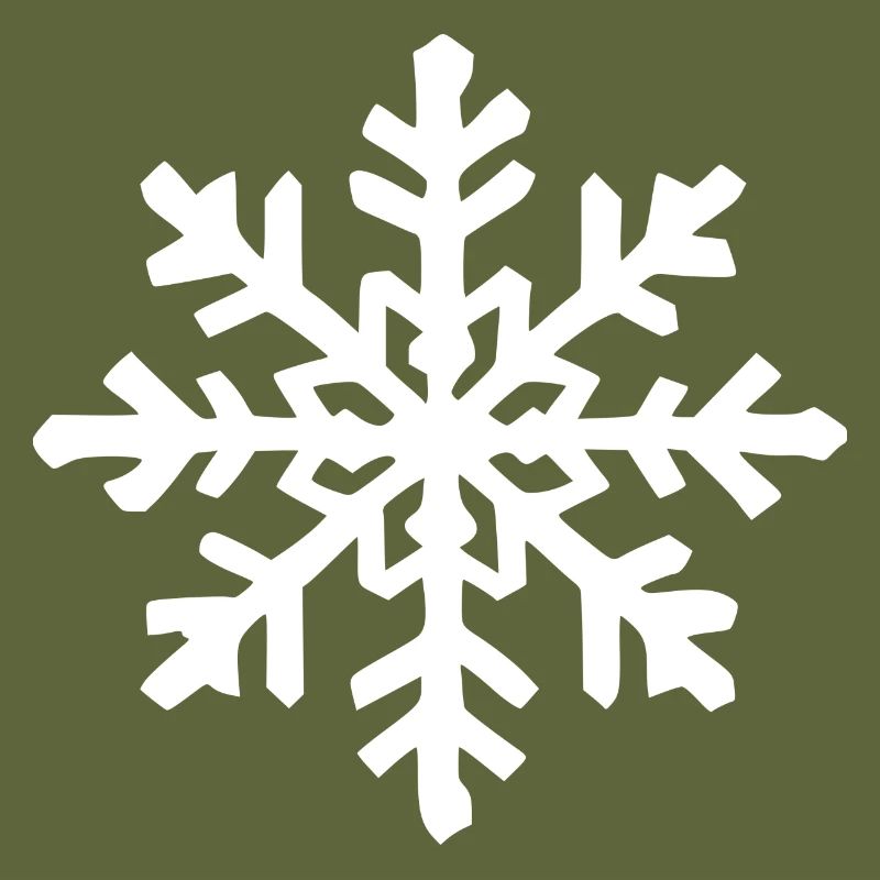 Snowflake Snow Winter Christmas Cold 5