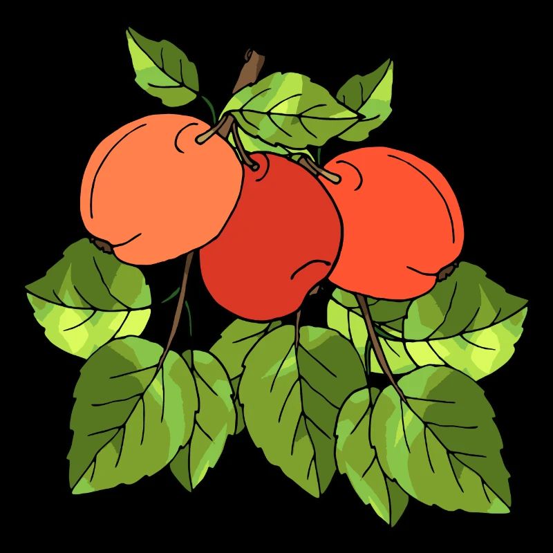 Apples
