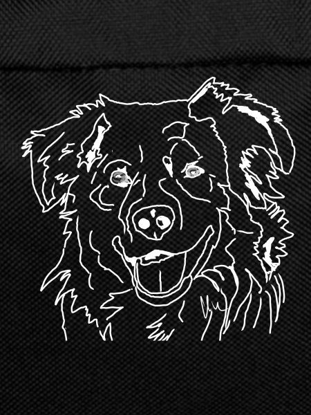 Australian Shepherd