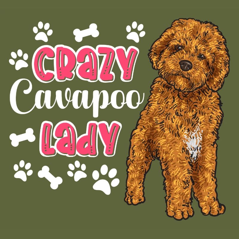 Cavapoo Cavoodle Capoodle Chien