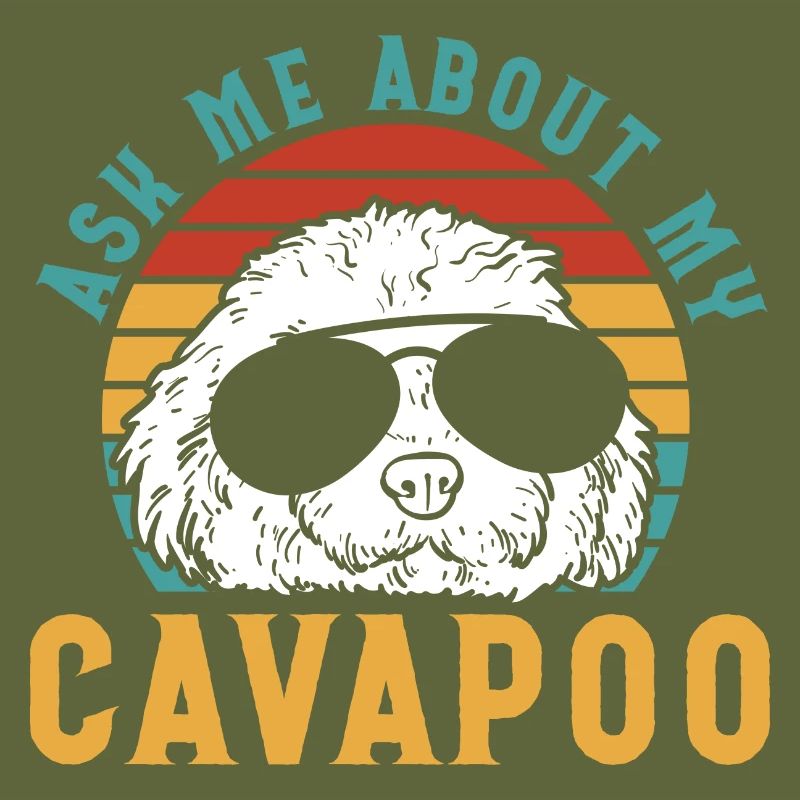 Cavapoo Cavoodle Capoodle Dog