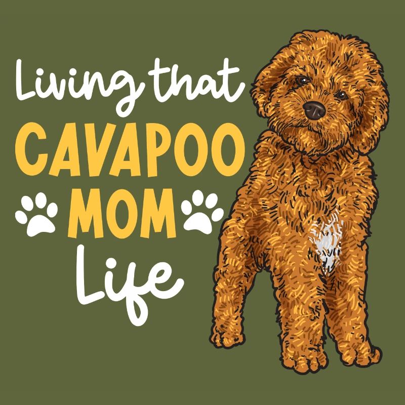 Cavapoo Cavoodle Capoodle Chien