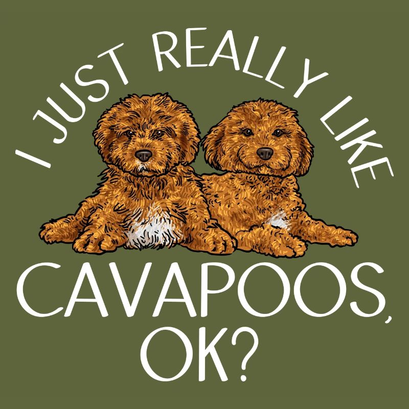 Cavapoo Cavoodle Capoodle Dog