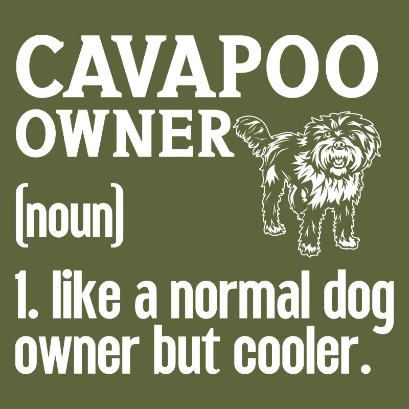 Cavapoo Cavoodle Capoodle Dog