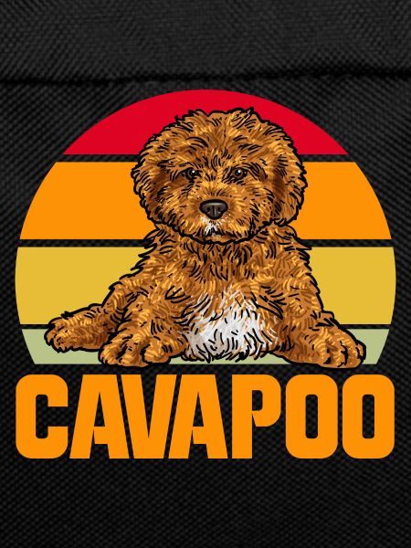 Cavapoo Cavoodle Capoodle Dog