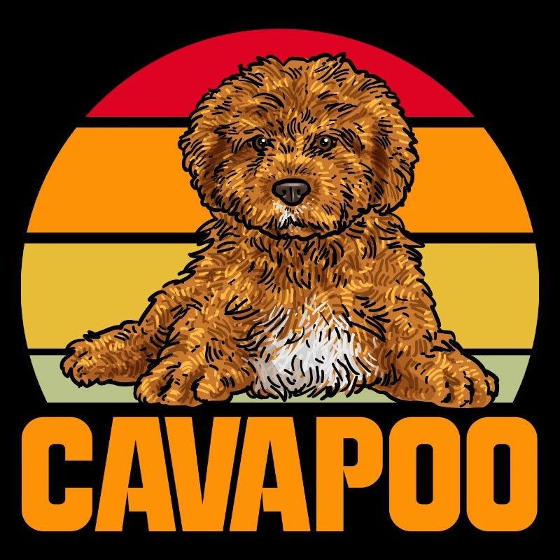 Cavapoo Cavoodle Capoodle Hund