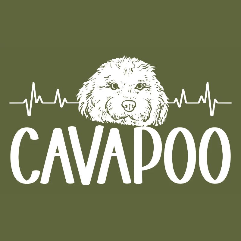Cavapoo Cavoodle Capoodle Hund