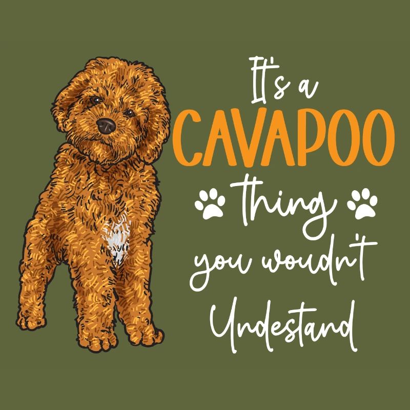 Cavapoo Cavoodle Capoodle Hund