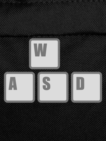 Computer WASD Keyboard Keys