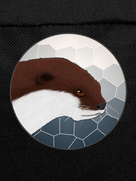 Loutre
