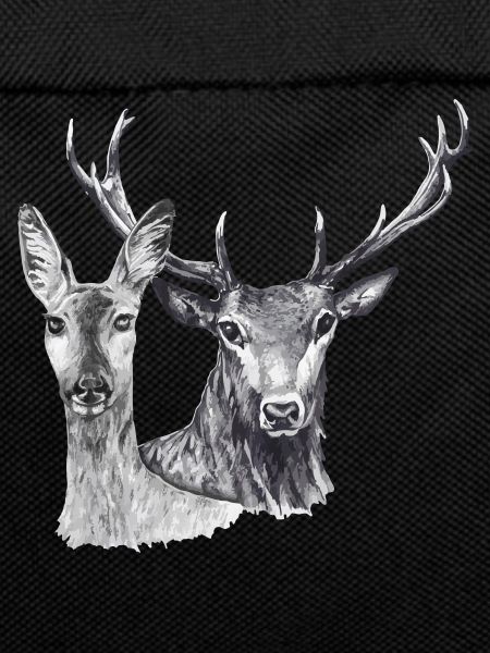 Cerfs et biche