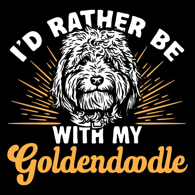 Goldendoodle Doodle Chien