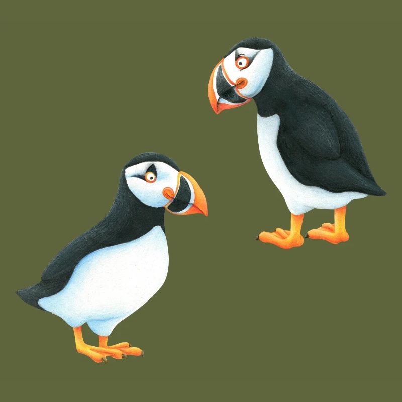 Puffin