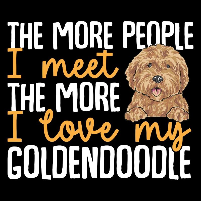 Goldendoodle Doodle Chien