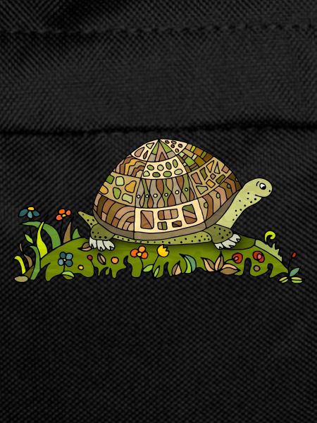 Tortoise