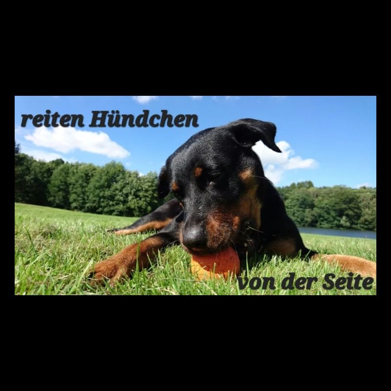 Hündchen