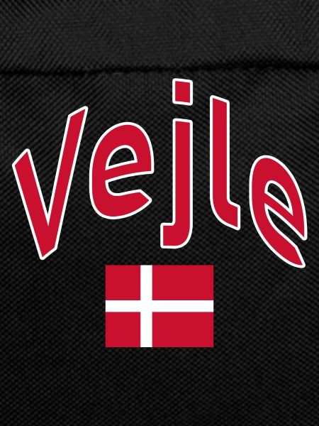 Vejle Denmark flag