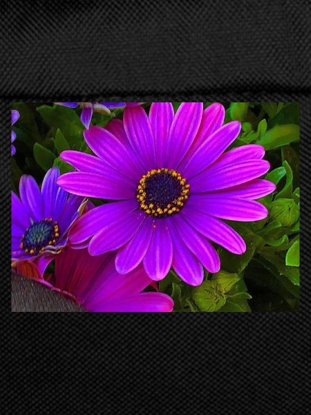 Fleur