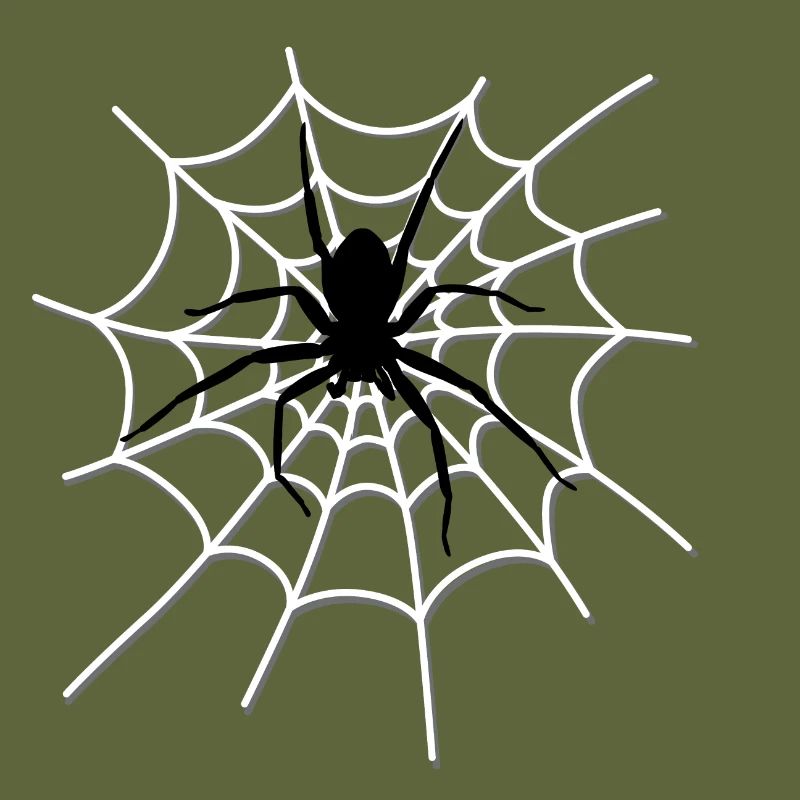 Spiderweb