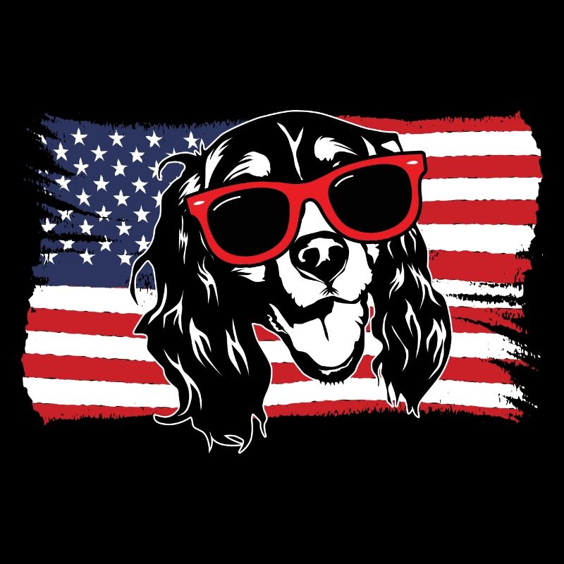 English Springer Spaniel Hund