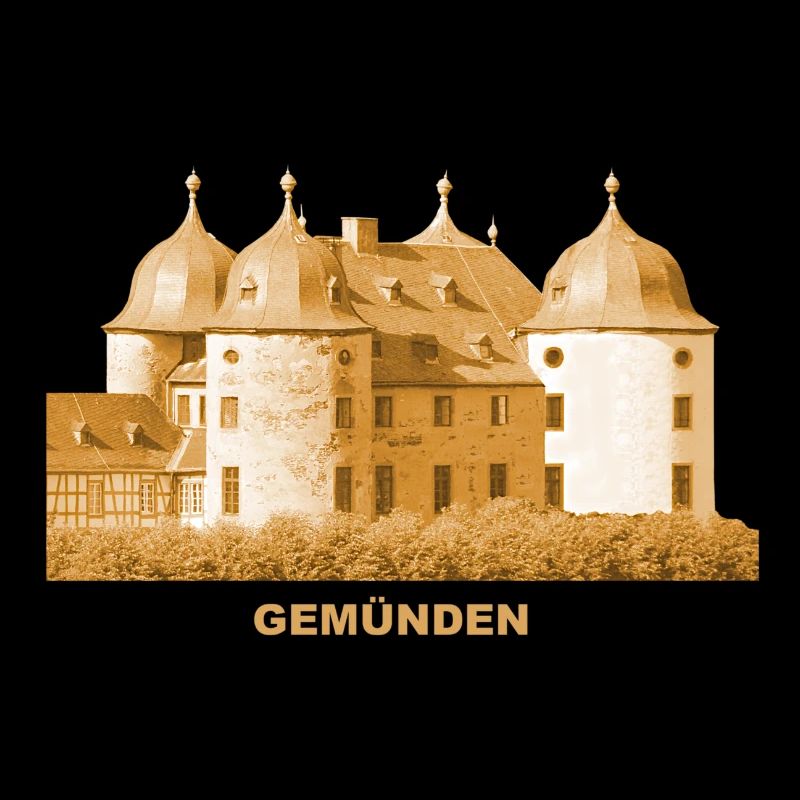 Château de Gemünden Hunsrück Bavière Main