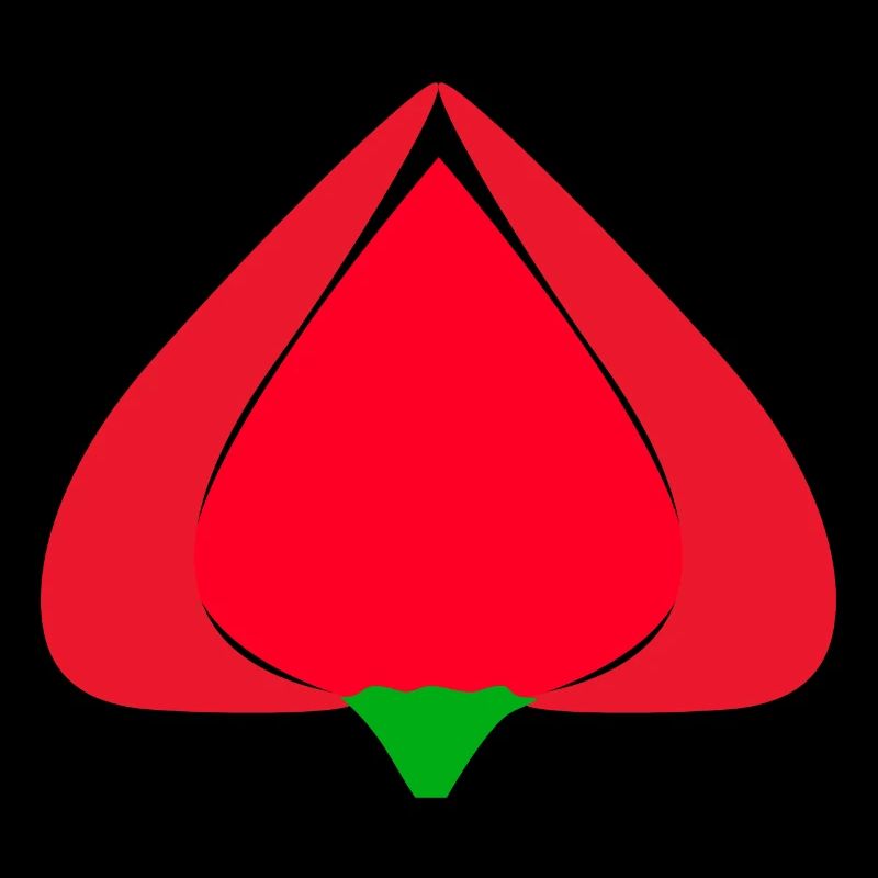 Tulip