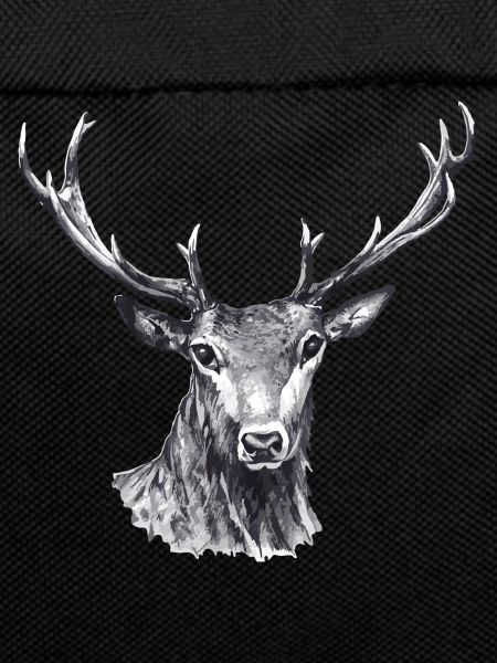 Hirsch