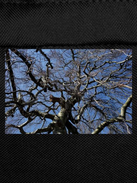 Kahler Baum