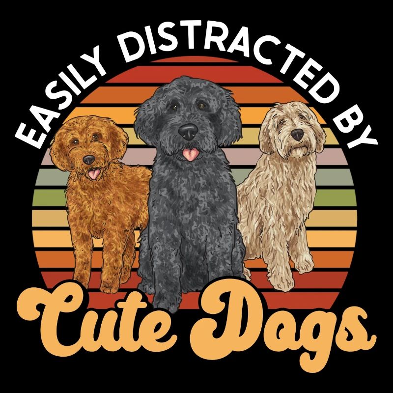 Labradoodle Chien