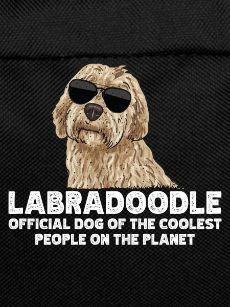 Labradoodle Dog