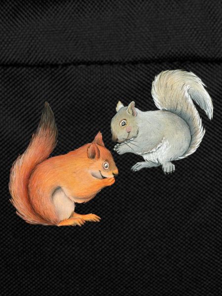 Funny squirrels