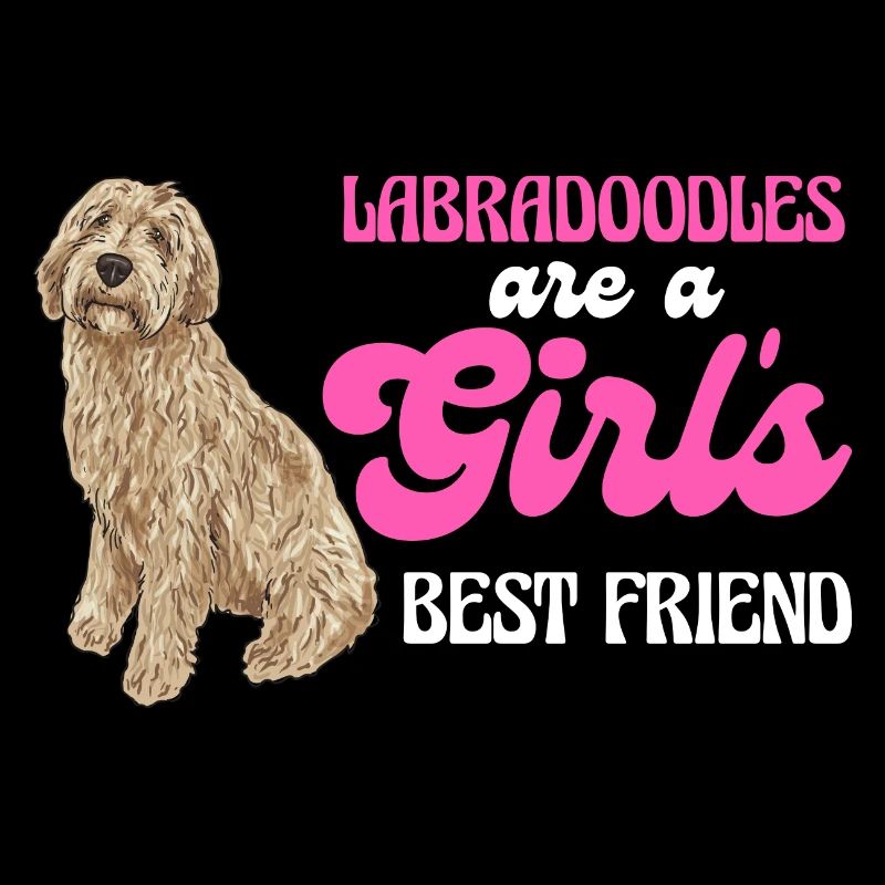 Labradoodle Chien
