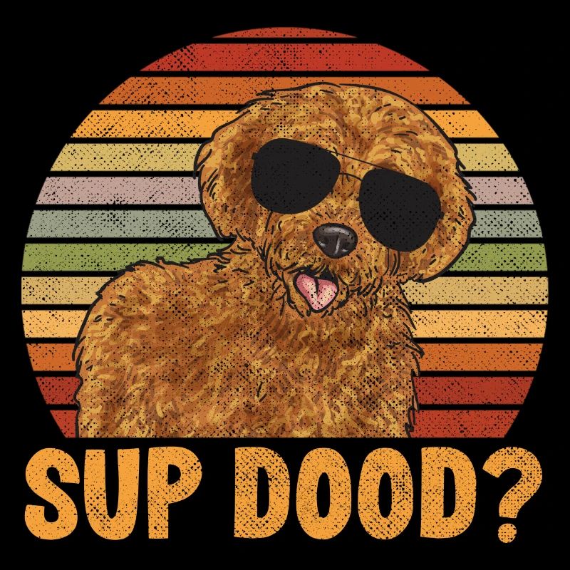 Labradoodle Hund