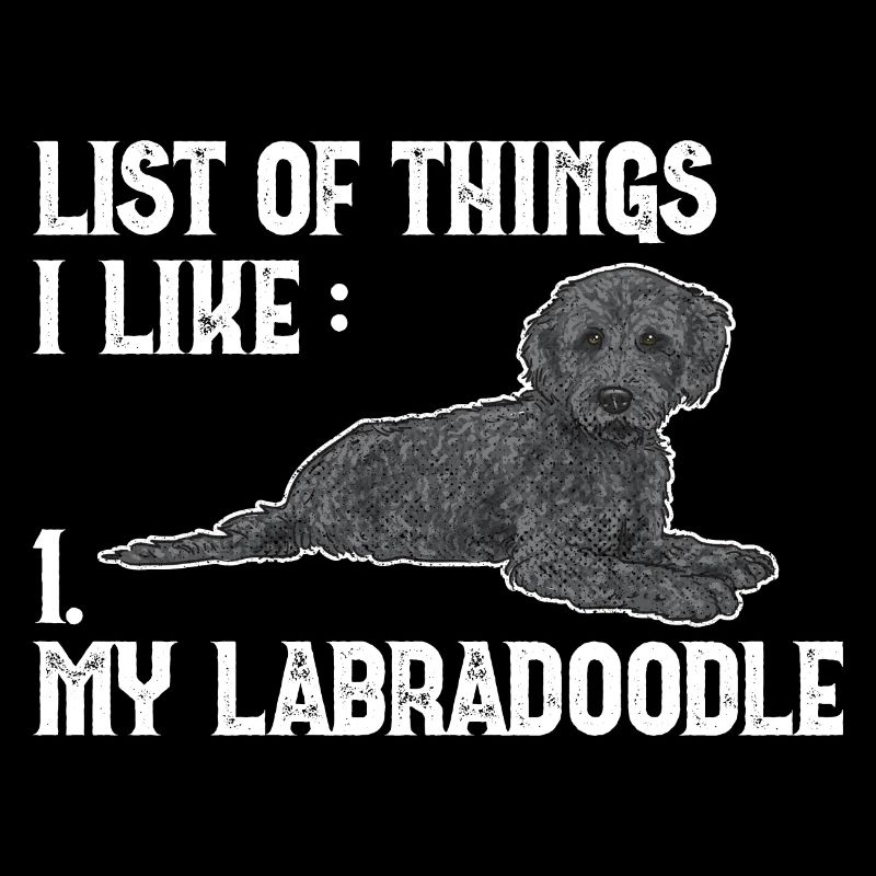 Labradoodle Hund