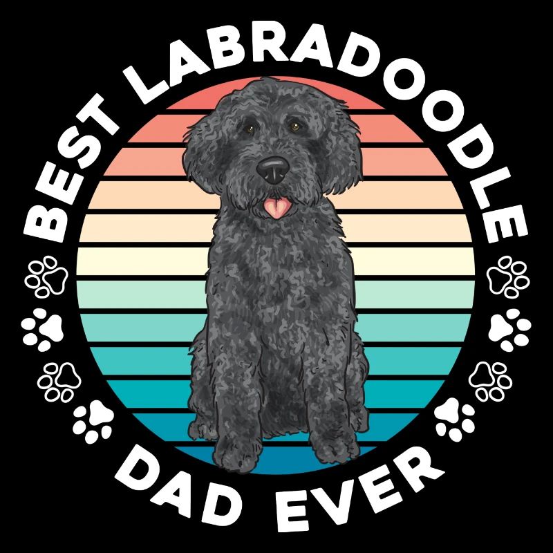 Labradoodle Hund